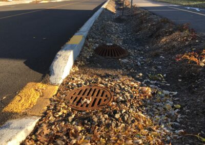 Noue située entre la piste cyclable et la rue